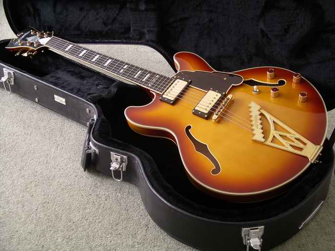 D'Angelico NYL-2 For Sale